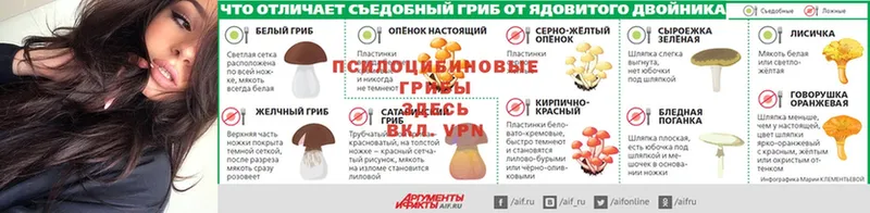 Галлюциногенные грибы ЛСД  Кущёвская 